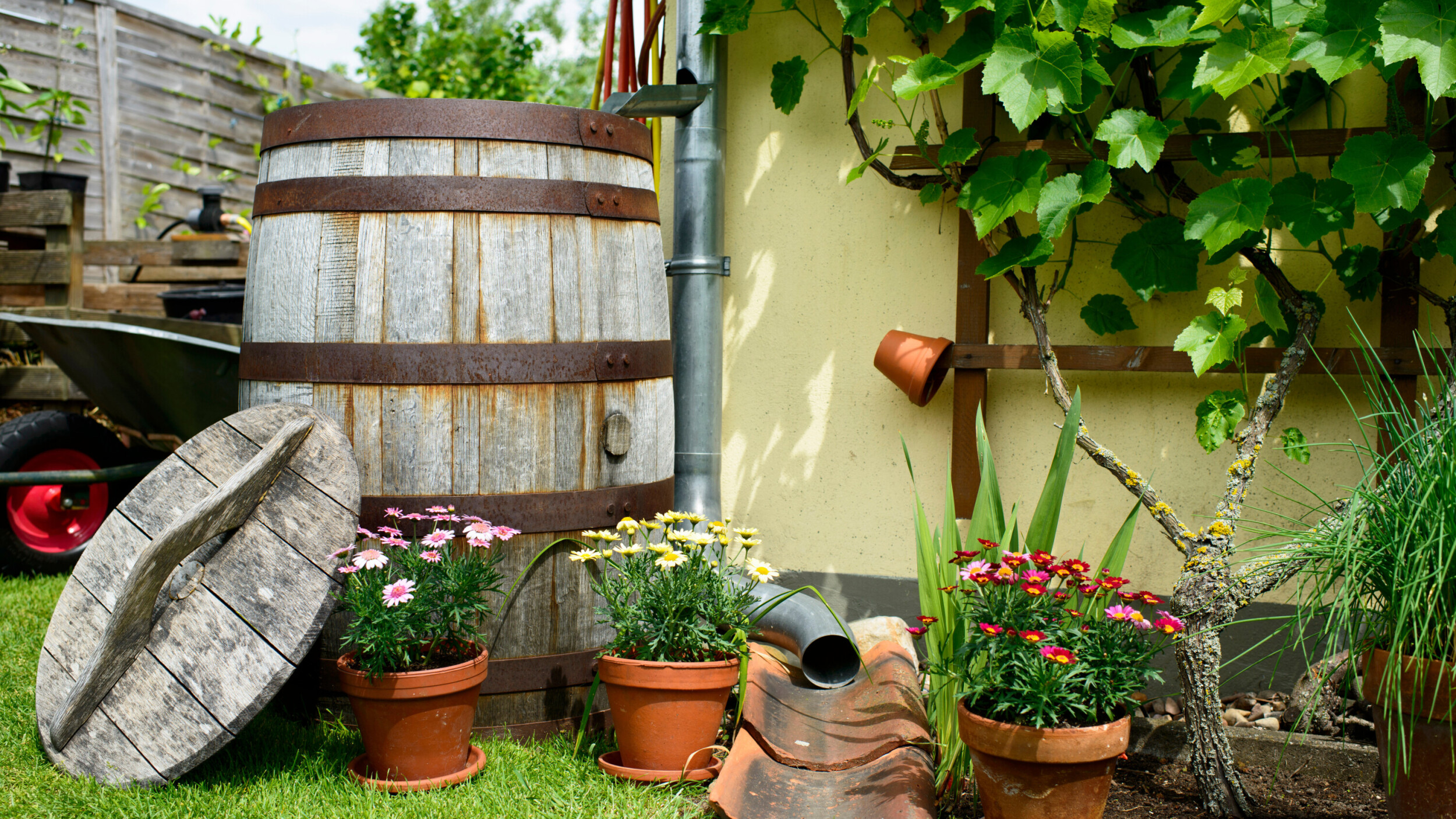 Regentonne im Garten